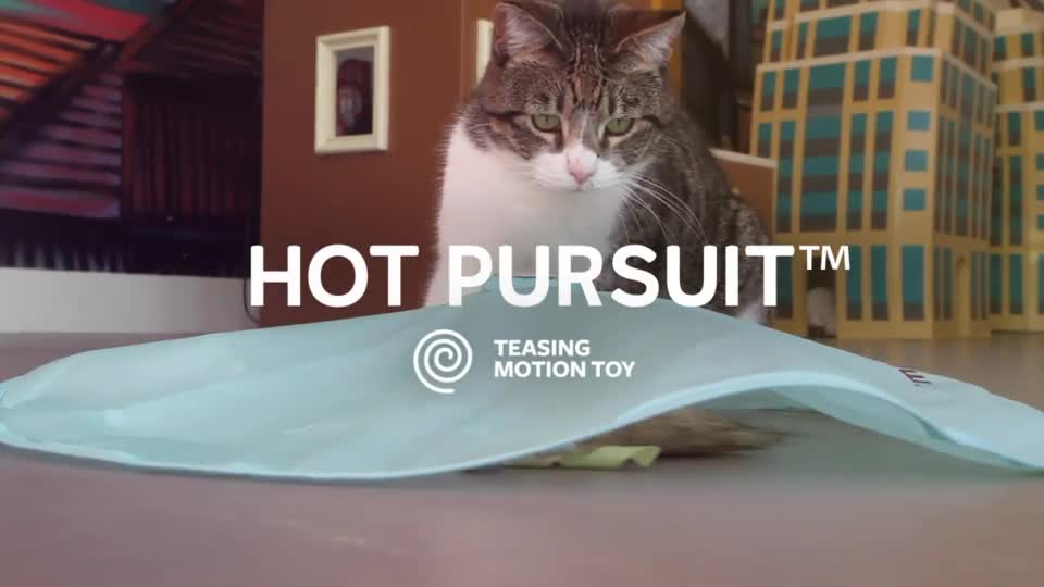 SmartyKat Hot Pursuit Electronic Concealed Motion & Light Cat Toy with
