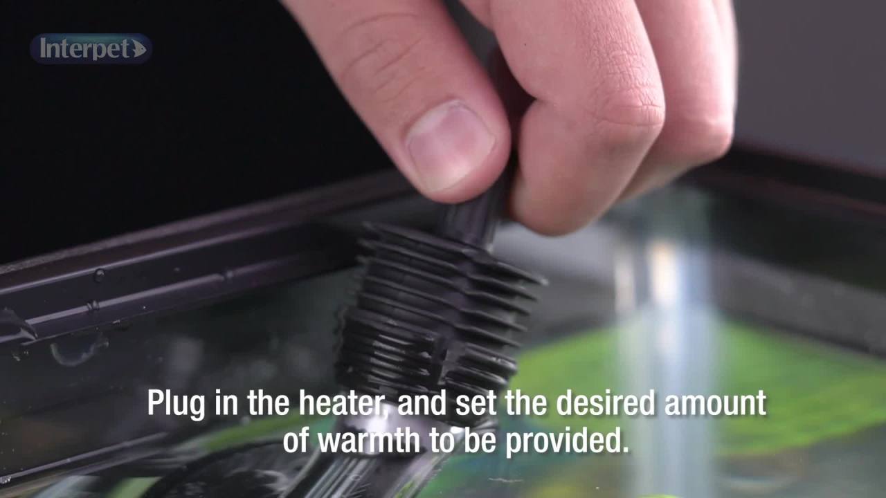 thumbnail video image 2 of Interpet Heater Glass Life Thermal 50W for 3-10 Gallon Aquariums, 2 of 9