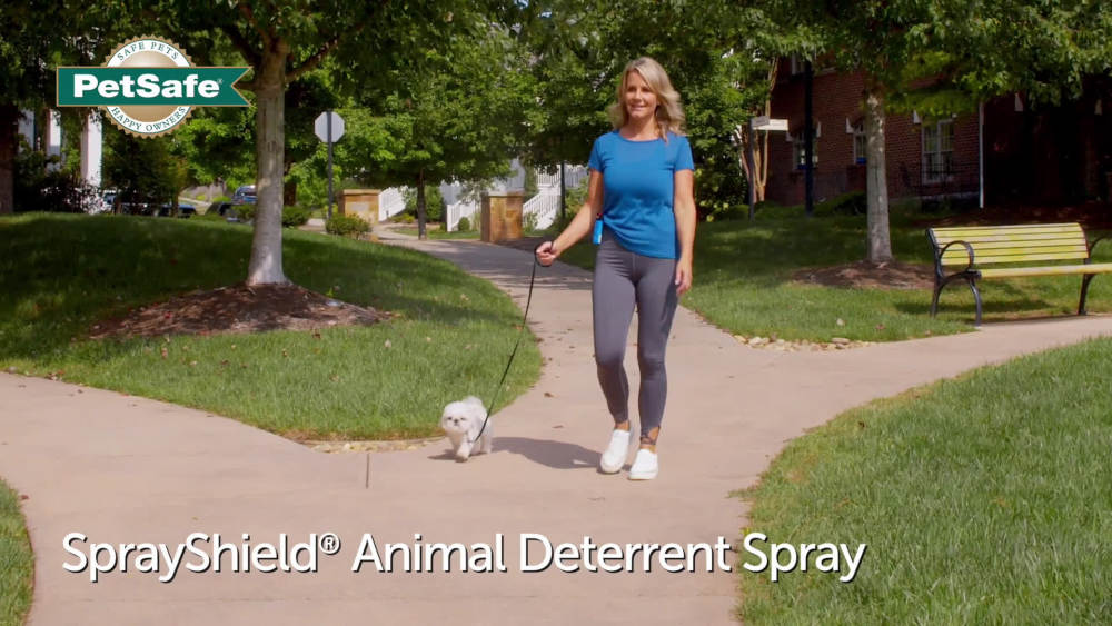 PetSafe SprayShield Animal Deterrent, Citronella Dog Repellent Spray, 2