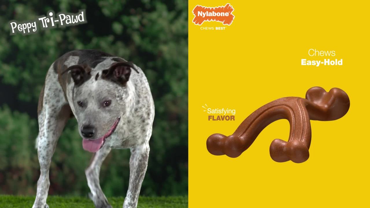 thumbnail video image 2 of Nylabone Power Chew Curvy Dental Bone Dog Chew Toy Peanut Butter Large (1 Count), 2 of 12