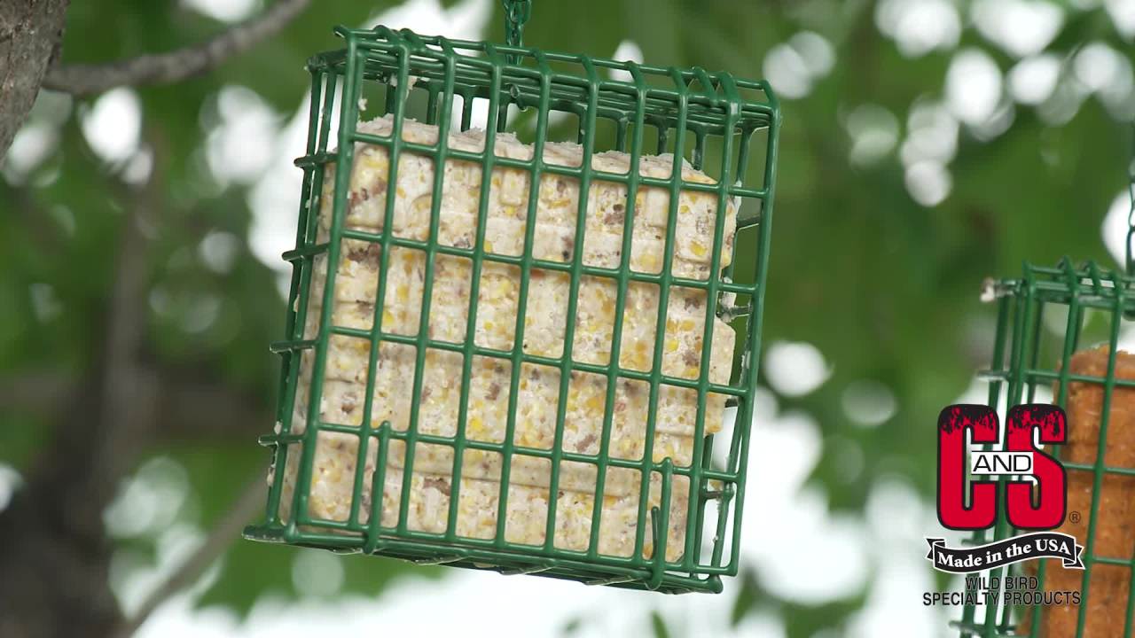 thumbnail video image 2 of C&S Hot Pepper Suet Nuggets, No Melt - No Waste, Wild Bird Food, 27 oz., Fresh, 1 Pack, 2 of 9