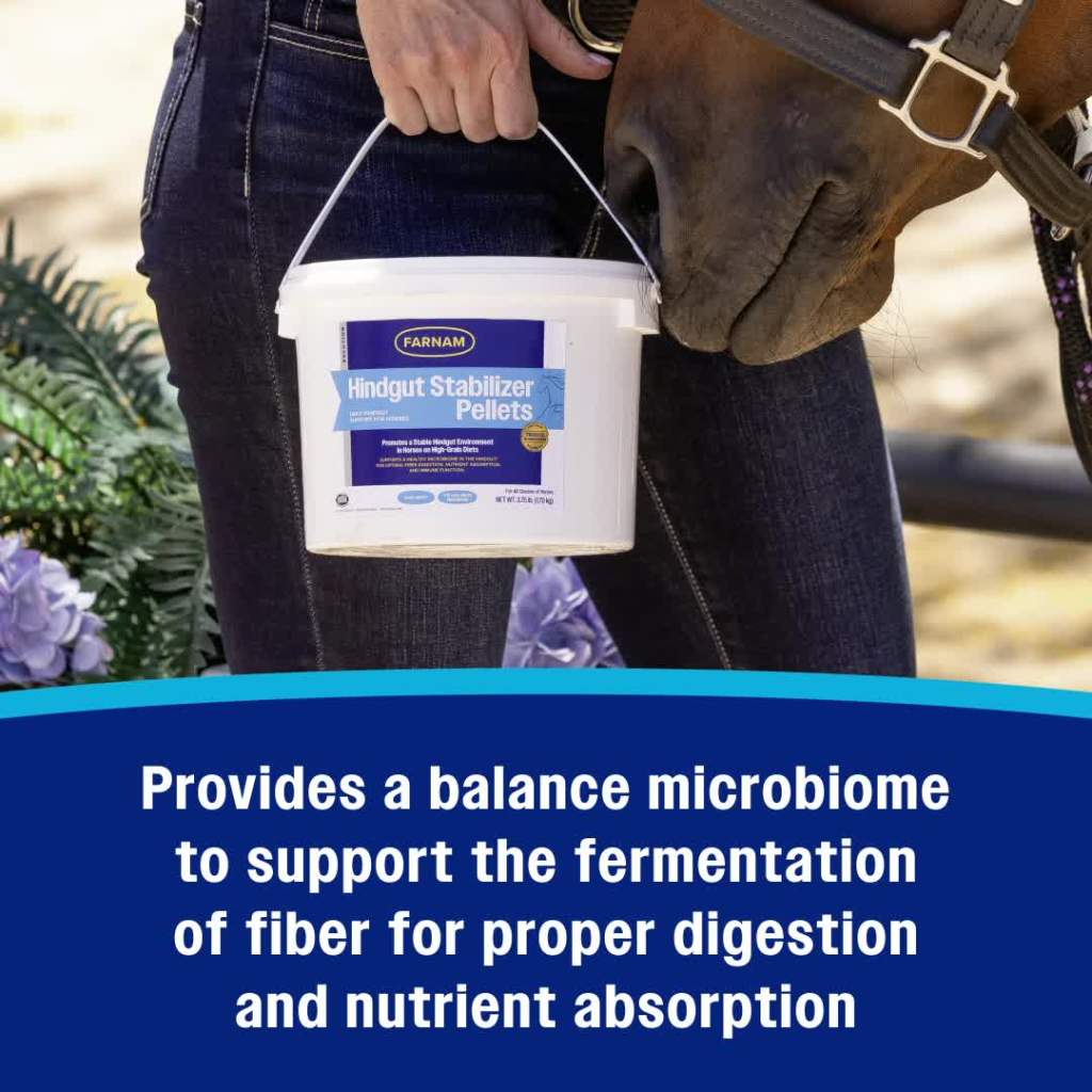 thumbnail video image 2 of Farnam Hindgut Stabilizer Pellets 3.75 lb., 30 Day Supply, 2 of 16