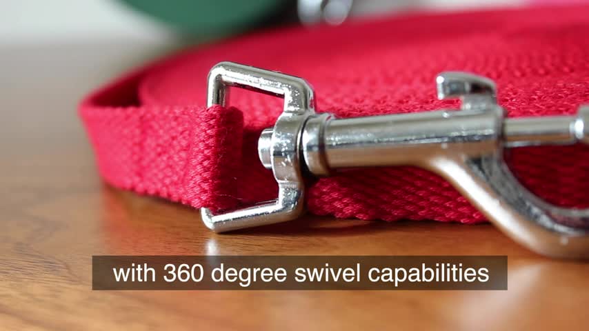 thumbnail video image 2 of Downtown Pet Supply Long Lead Leash for Dog Training, Blue, 50' Dog Leash, 2 of 6