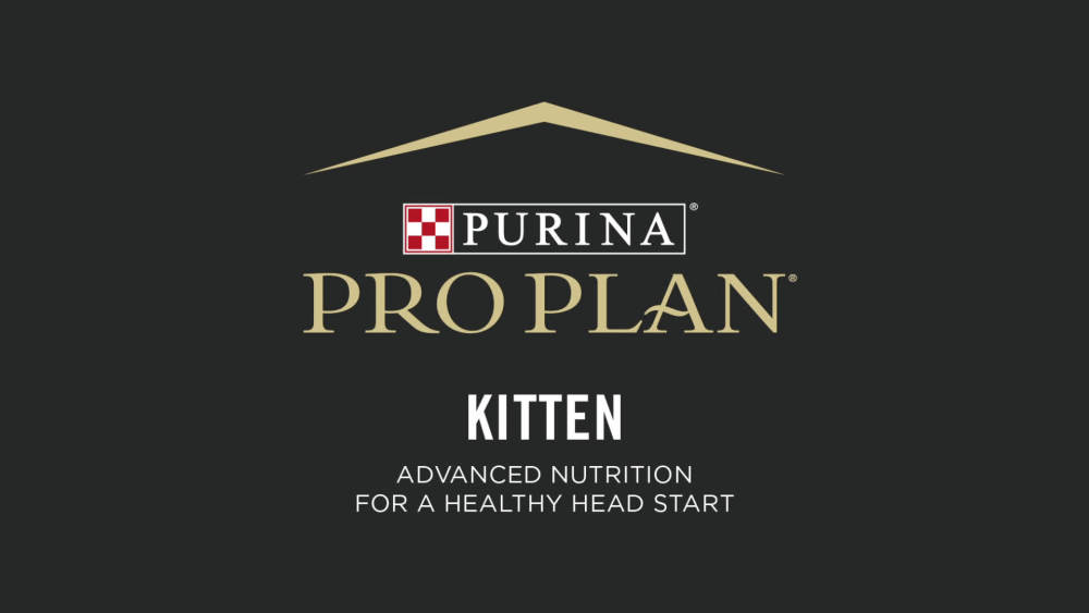 Purina Pro Plan Chicken Wet Cat Food for Kittens, GrainFree, 3 oz Cans