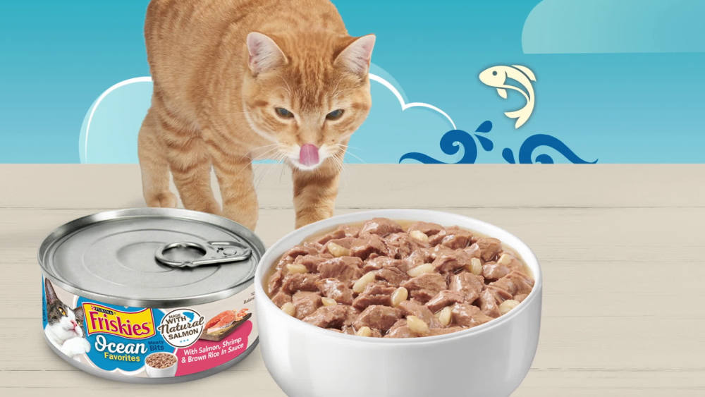 Purina Friskies Ocean Favorites Wet Cat Food Variety Pack, 5.5 oz Cans