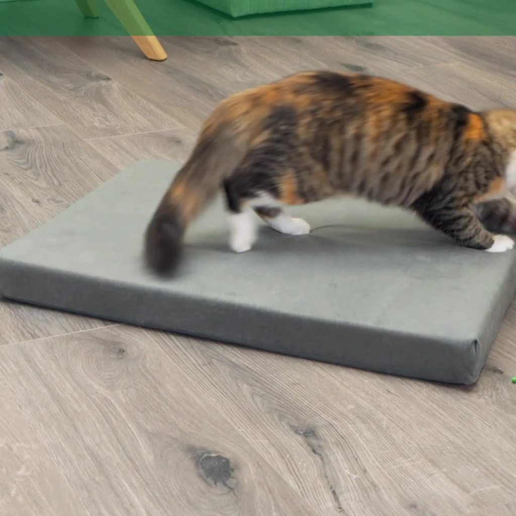 thumbnail video image 2 of FurHaven Pet Products Mattress Edition Small Memory Foam Dog Kennel & Crate Mat, Gray, 2 of 13