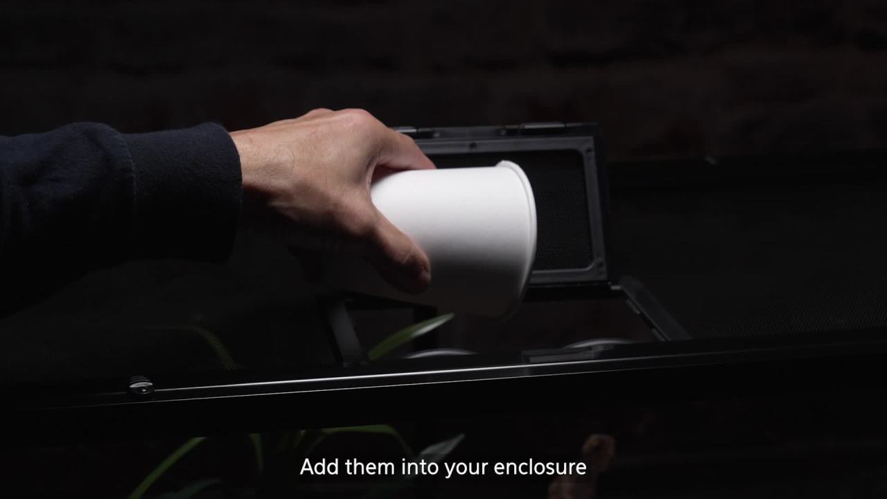 thumbnail video image 2 of Zilla Cricket Glow Powder, Adds Calcium to Reptile Food, Fluoresces Under Black Light, Ideal for Insectivores, 4 Ounces, 2 of 11