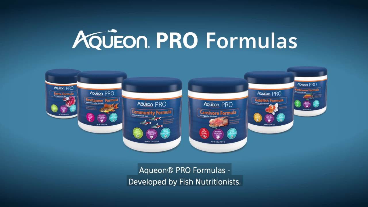 thumbnail video image 2 of Aqueon PRO Pellet Fish Food Herbivore Formula 5 oz, 2 of 9