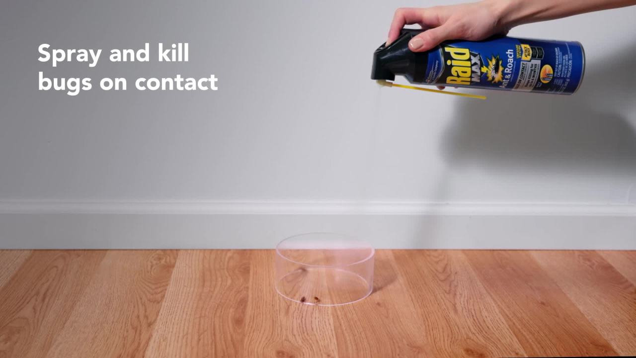 thumbnail video image 2 of Raid Max Indoor Ant and Roach Insecticide, Insect Killer, 14.5 oz, 2 of 16