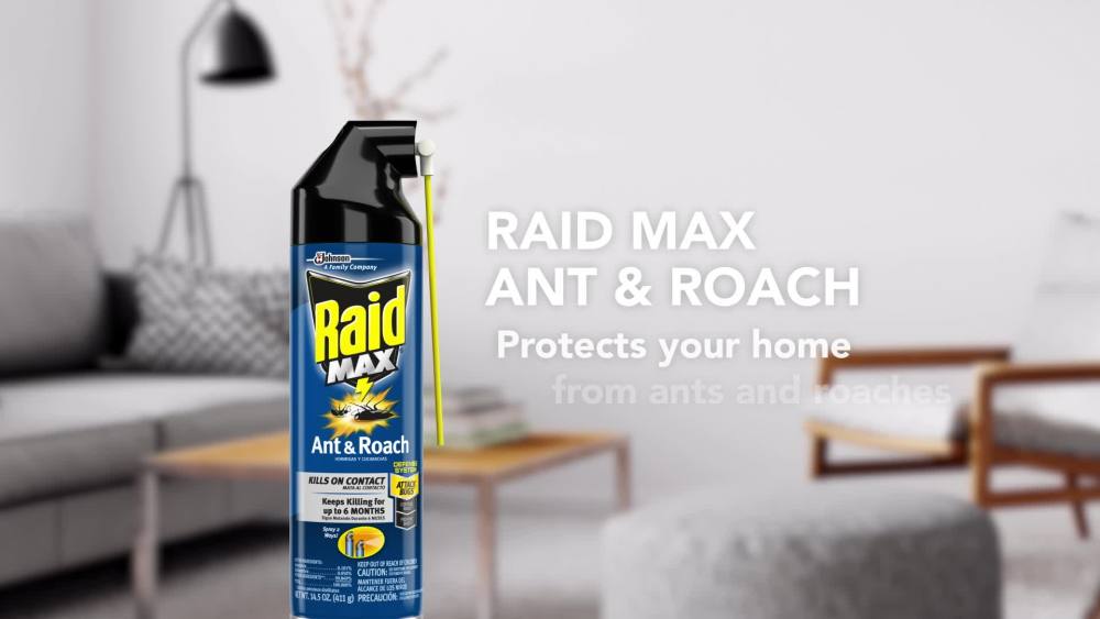 Raid Max Indoor Ant and Roach Insecticide, 14.5 oz - image 2 of 17
