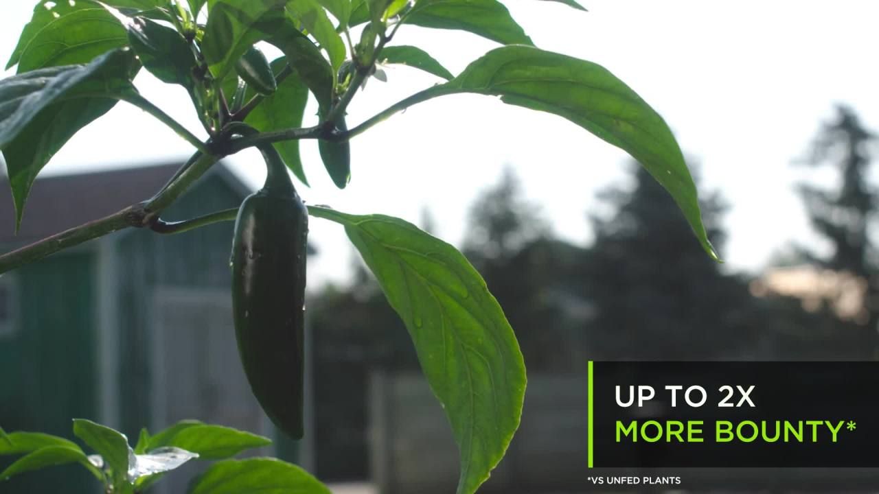 thumbnail video image 2 of Miracle-Gro Performance Organics Raised Bed Mix 1.3 cu. ft., 2 of 8