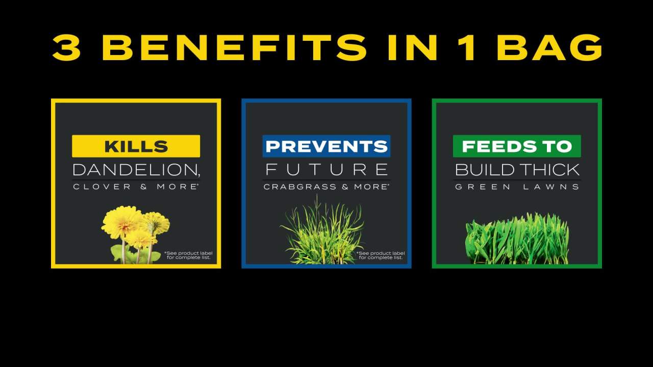 thumbnail video image 2 of Scotts Turf Builder Triple Action1, 11.31 lbs., 4,000 sq. ft., 2 of 14