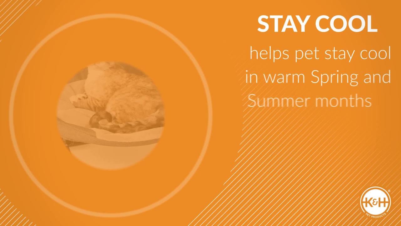 thumbnail video image 2 of K&H Pet Products Elevated Cozy Cot Classy Gray Small 19 Inches, 2 of 7