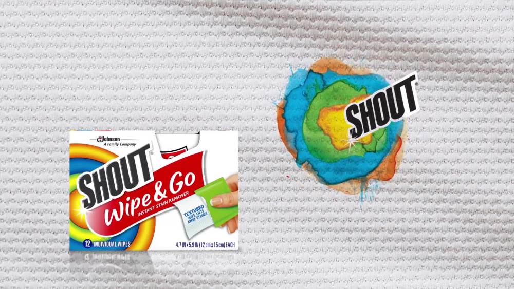 Shout Wipe & Go, Instant Stain Remover, 12 Wipes