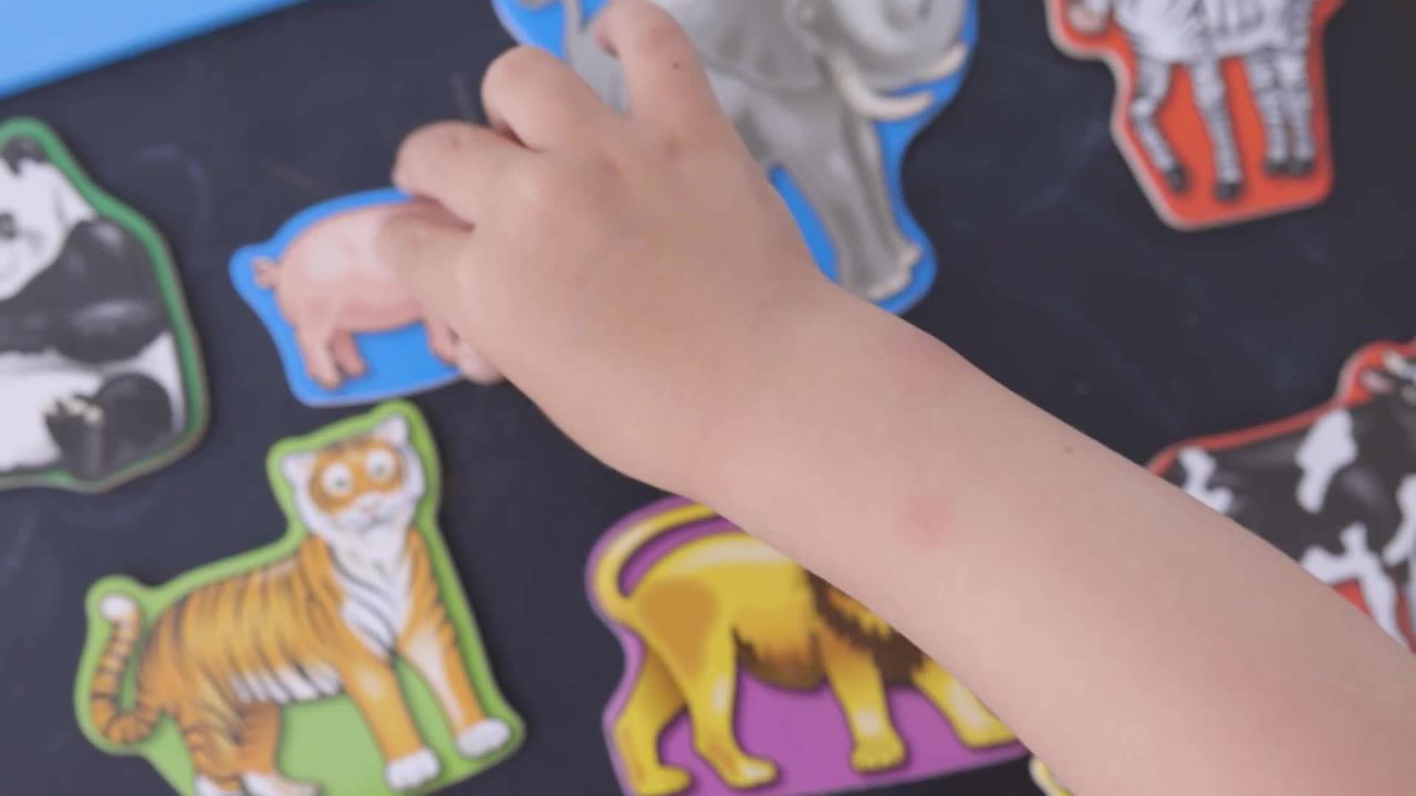 thumbnail video image 2 of Melissa & Doug 20 Wooden Animal Magnets in a Box - FSC Certified, 2 of 10