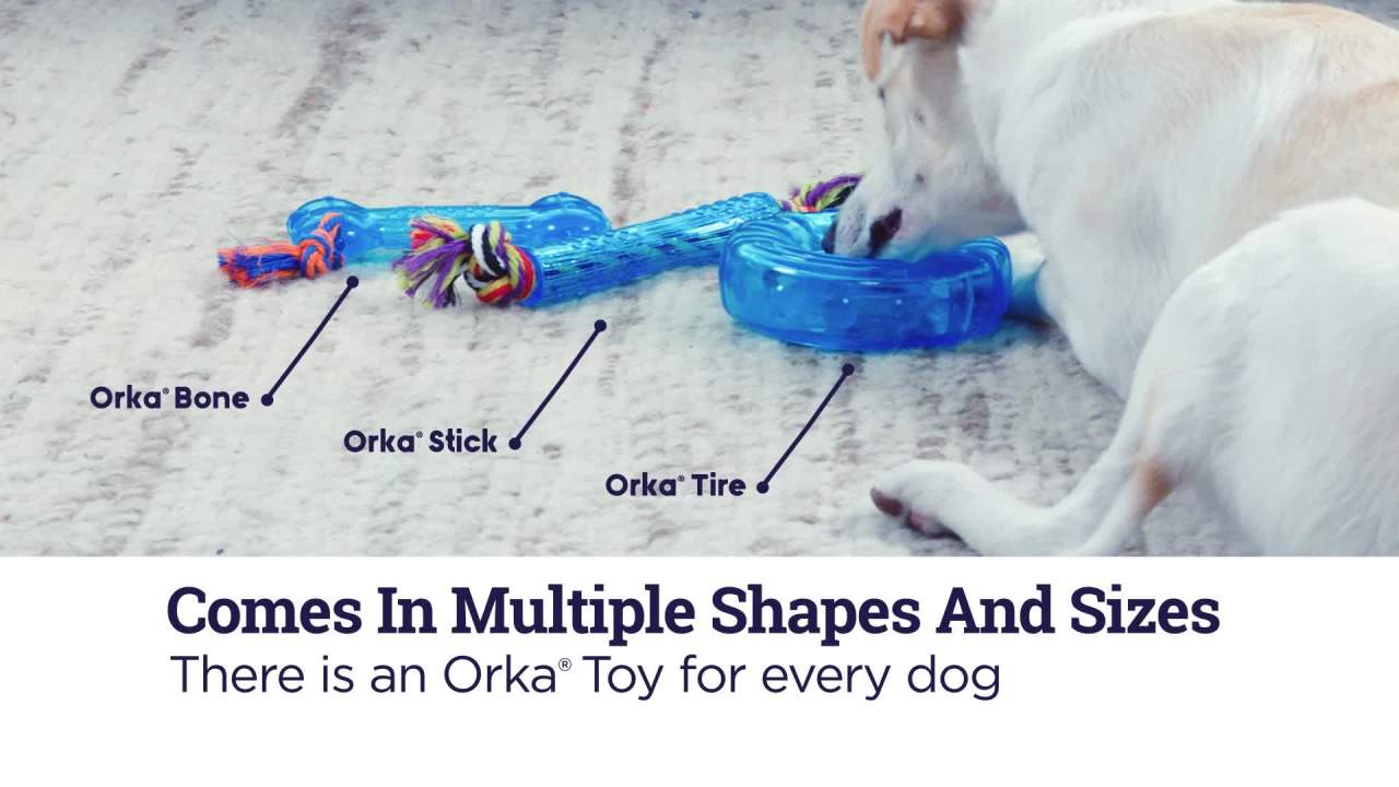 thumbnail video image 2 of Petstages Orka Mini Chew Dog Bone Toy, Multicolor, 2 of 3