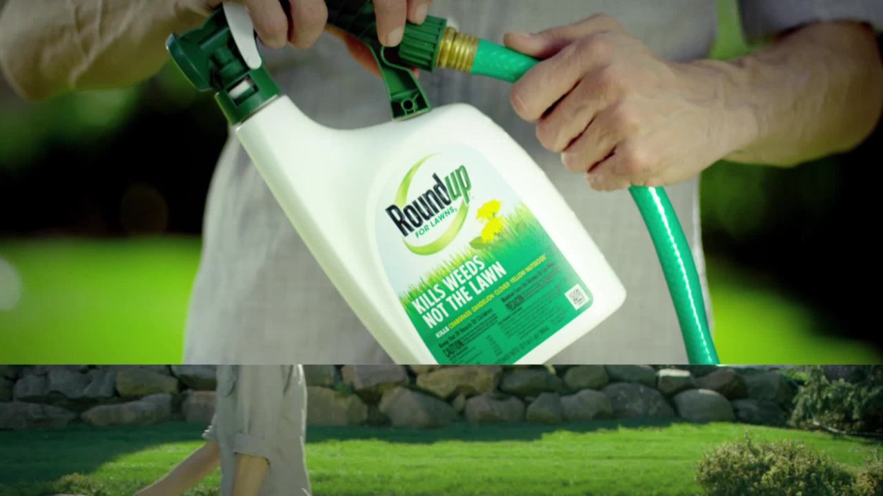 thumbnail video image 2 of Roundup For Lawns3 Ready-to-Spray, Weed Killer for Northern Grasses, 32 fl. oz., 2 of 15