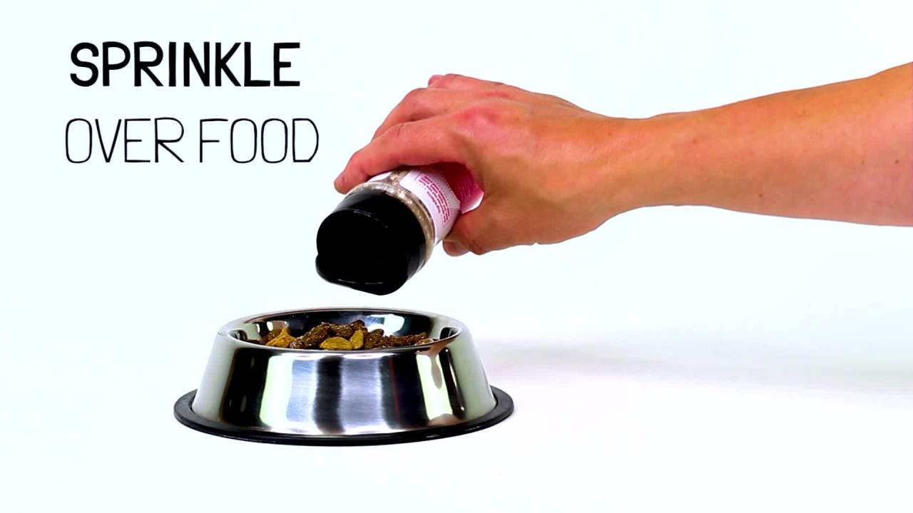 thumbnail video image 2 of FLAVORS by Beaumont Basics Food Topper for Dogs, Chicken Recipe, 3.1-Ounce, 2 of 10