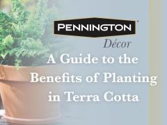 Pennington Red Terra Cotta Clay Planter, 2 inch Pot - image 2 of 10