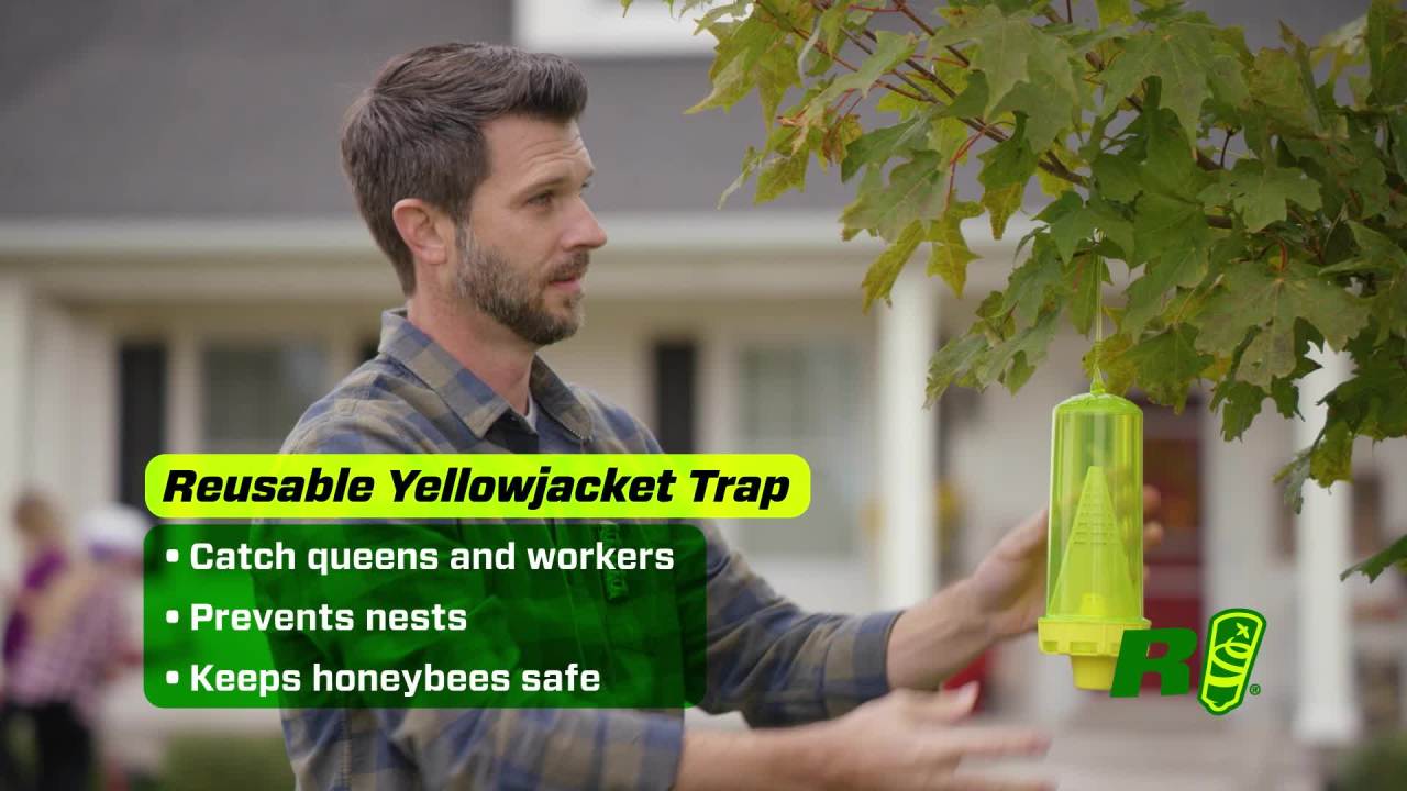 thumbnail video image 2 of RESCUE! Reusable Yellowjacket Trap, 1 Trap, 2 of 12