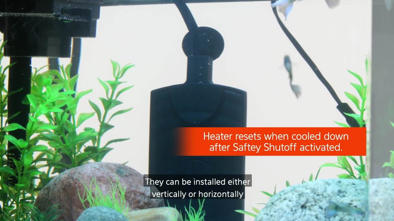 thumbnail video image 2 of Aqueon Submersible Aquatic Flat Heater, Up to 10 Gallons, Black, 15 Watts, 2 of 8