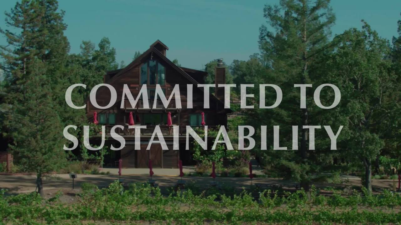 thumbnail video image 2 of La Crema Sonoma Coast Pinot Noir Red Wine, California, 13.5% ABV, 375ml Glass Bottle, 2.5-150ml Servings, 2 of 10