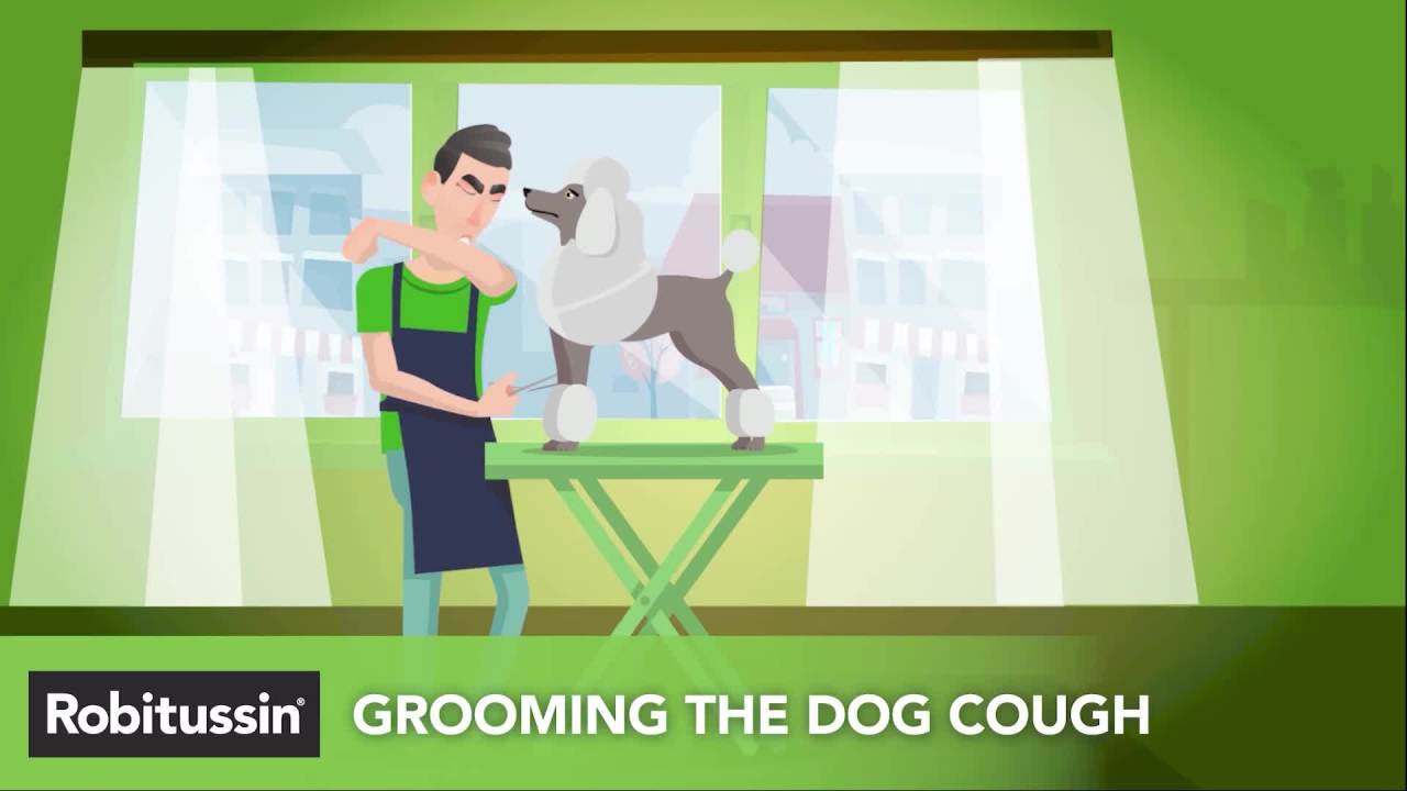 thumbnail video image 2 of Children's Robitussin Cough and Cold Medicine for Kids, Fruit Punch, 4 fl oz, 2 of 6