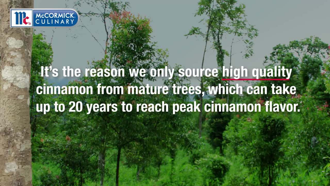 thumbnail video image 2 of McCormick Culinary Kosher Ground Cinnamon, 18.0 oz Bottle, 2 of 12