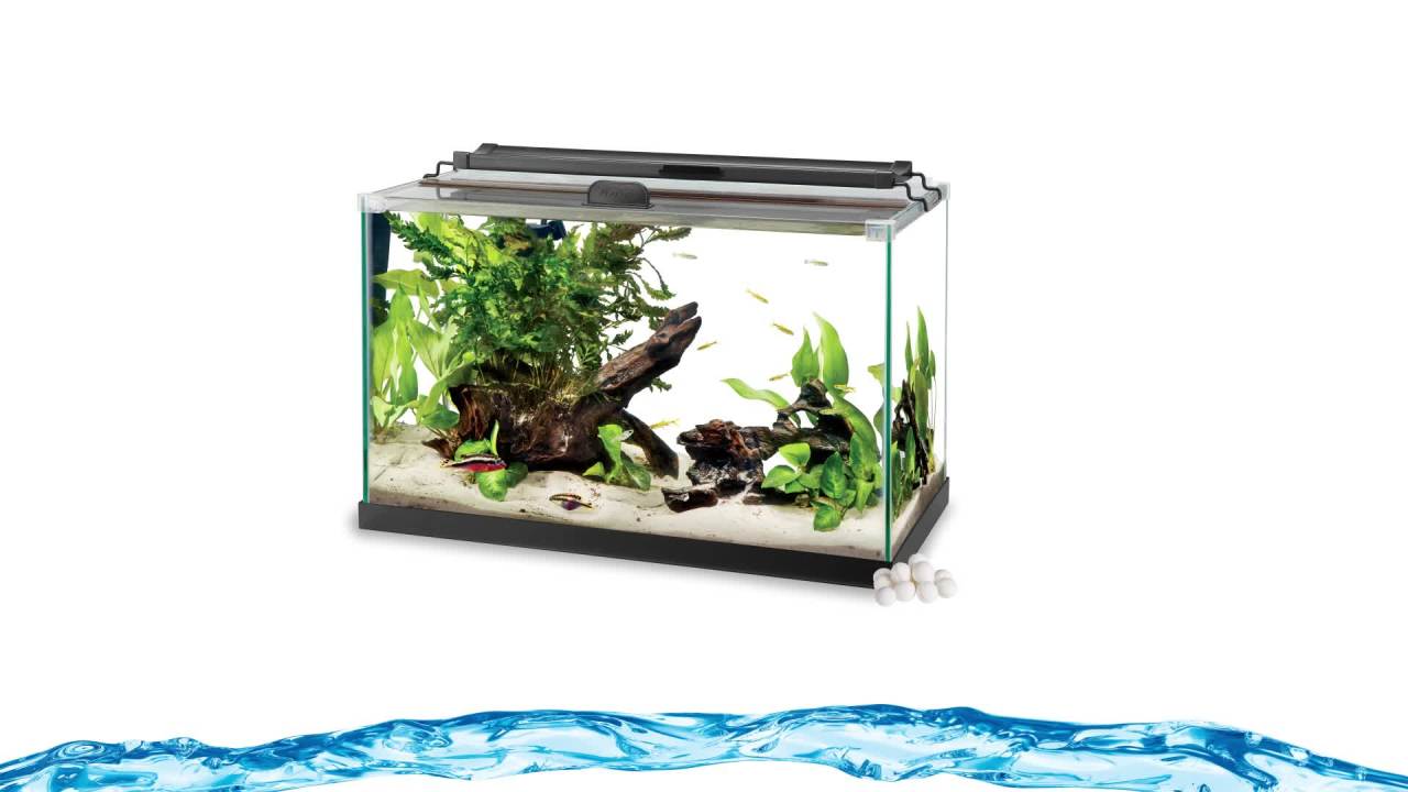 thumbnail video image 2 of Aqueon AquaPacs Sludge Remover 4-pack, 2 of 11