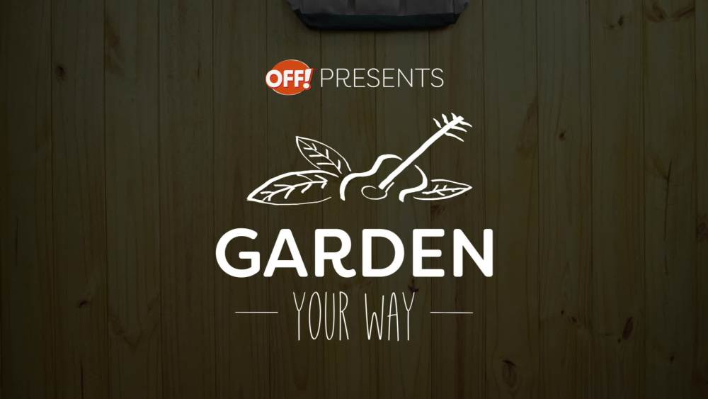 OFF! Deep Woods Insect Repellent V, 9 oz, 2 ct