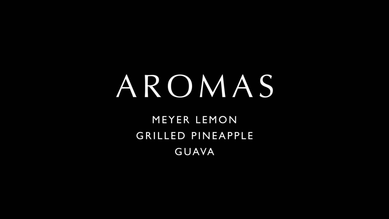 thumbnail video image 2 of La Crema Monterey Pinot Gris White Wine, California, 13.5% ABV, 750ml Glass Bottle, 5-150ml Servings, 2 of 10