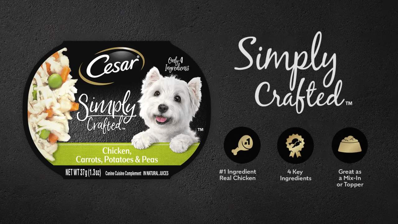 thumbnail video image 2 of Cesar Filet Mignon and Spring Vegetables Dry Dog Food, 5 lb Bag, 2 of 11