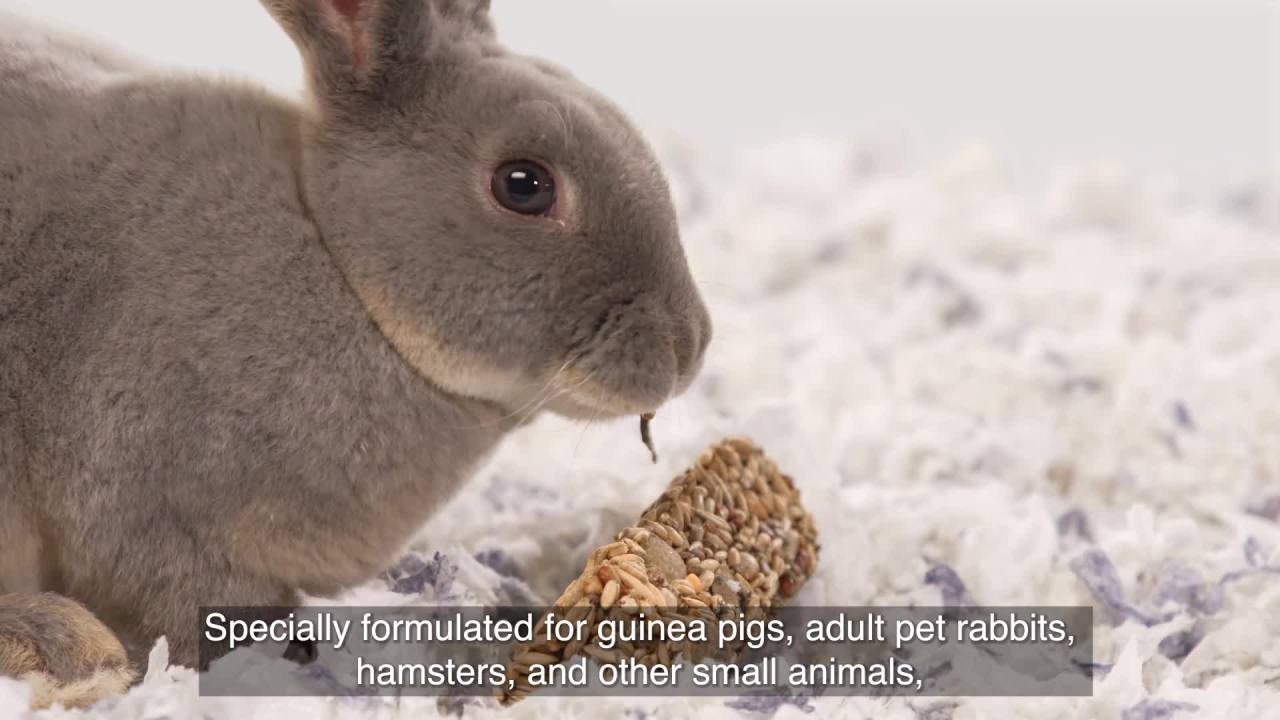 thumbnail video image 2 of Kaytee Treat Stick with Superfoods, Flax & Strawberry, for Small Animals, 5.5 Ounces, 2 of 8