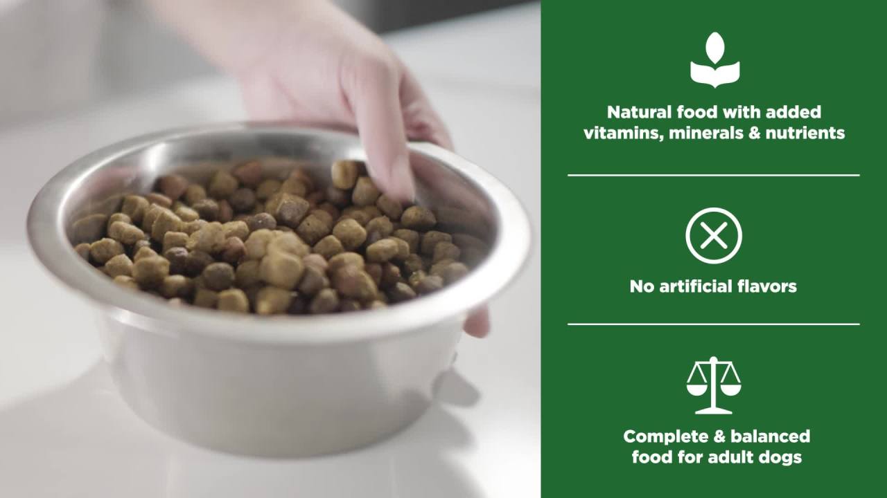 thumbnail video image 2 of Rachael Ray Nutrish Dry Dog Food Puppy, Real Chicken & Brown Rice Recipe, 13 lb., 2 of 11