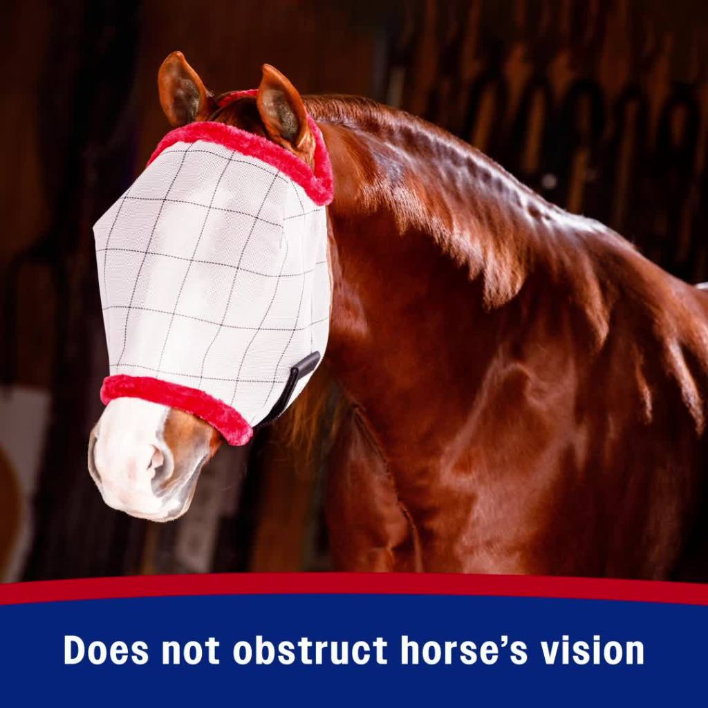 thumbnail video image 2 of Farnam SuperMask II Horse Fly Mask Without Ears Assorted Colors Average Horse, 2 of 15