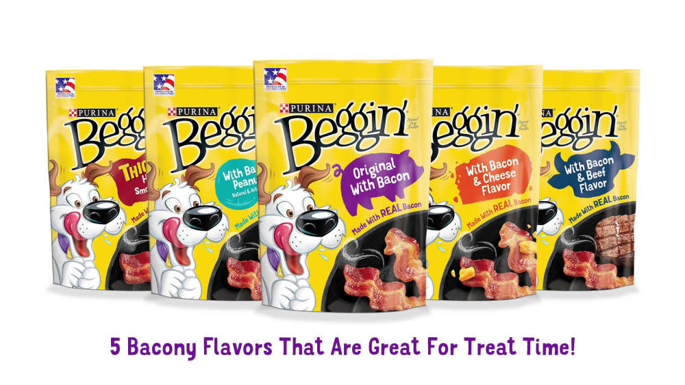 Purina Beggin' Strips Dog Treats Original with Bacon Flavor Dog Chews Snacks, 40 oz Pouch - image 2 of 10