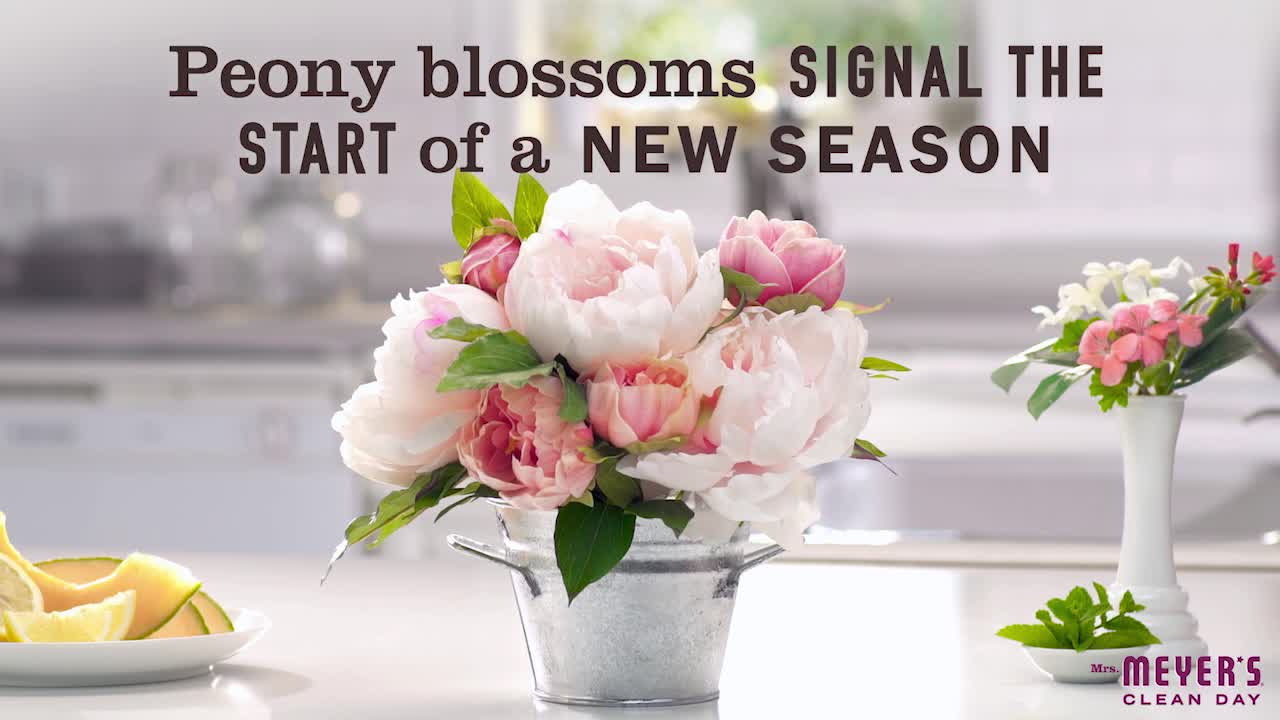 thumbnail video image 2 of Mrs. Meyer’s Clean Day Room Spray, Peony Scent, 8 Fl Oz Bottle, 2 of 9