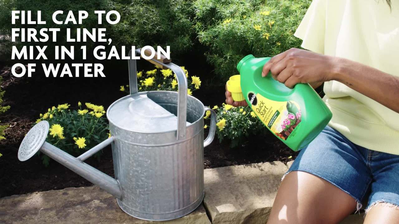 thumbnail video image 2 of Miracle-Gro Quick Start Planting and Transplant Starting Solution, 48 oz., 2 of 11