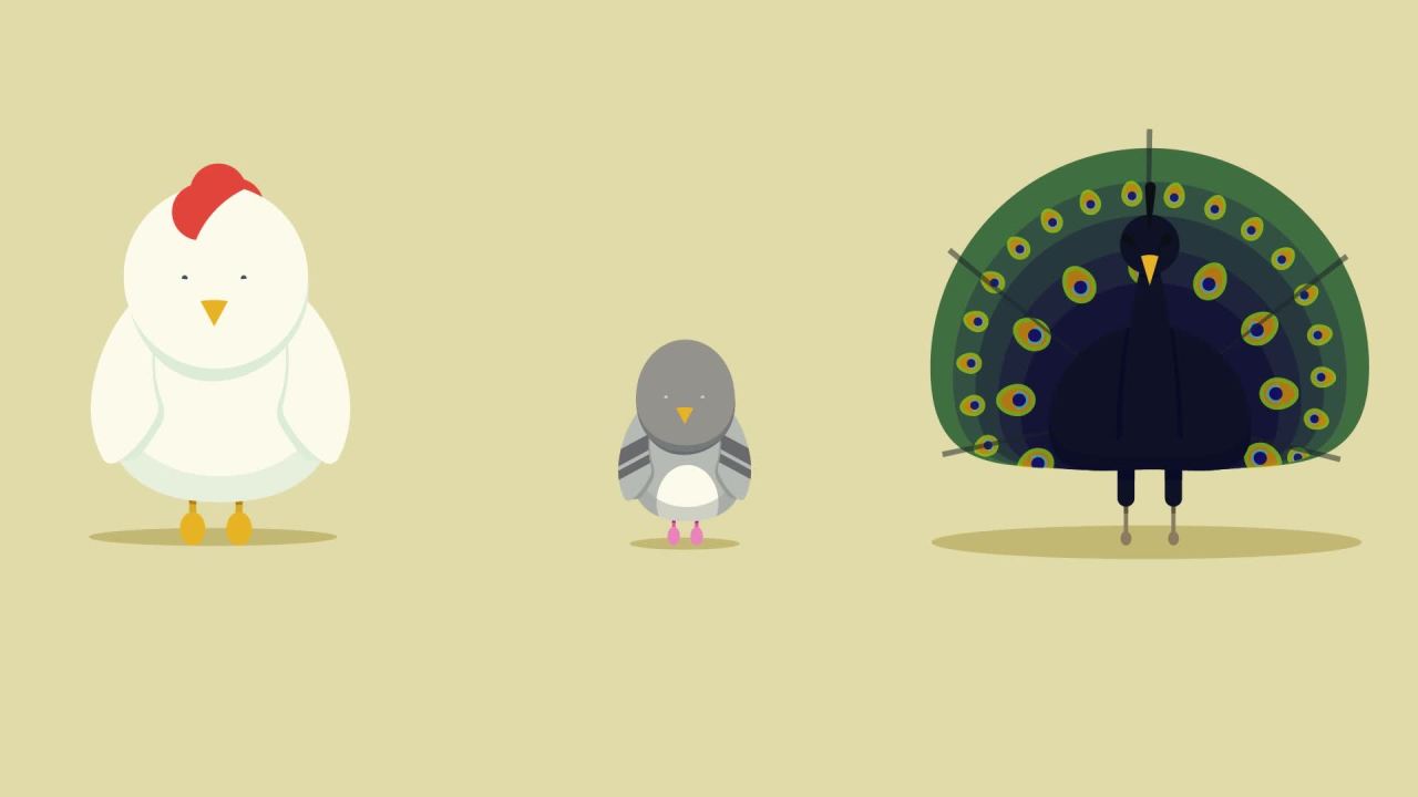 thumbnail video image 2 of K&H Pet Products Thermo-Chicken Heated Perch Black Large 36 Inches, 2 of 8