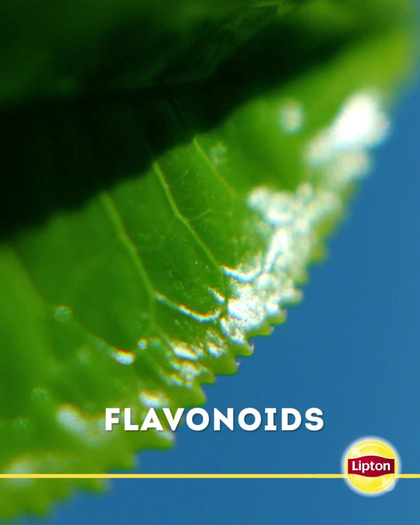 thumbnail video image 2 of Lipton Family Sized Iced Green Tea , Caffeinated, Tea Bags 24 Count, 2 of 10