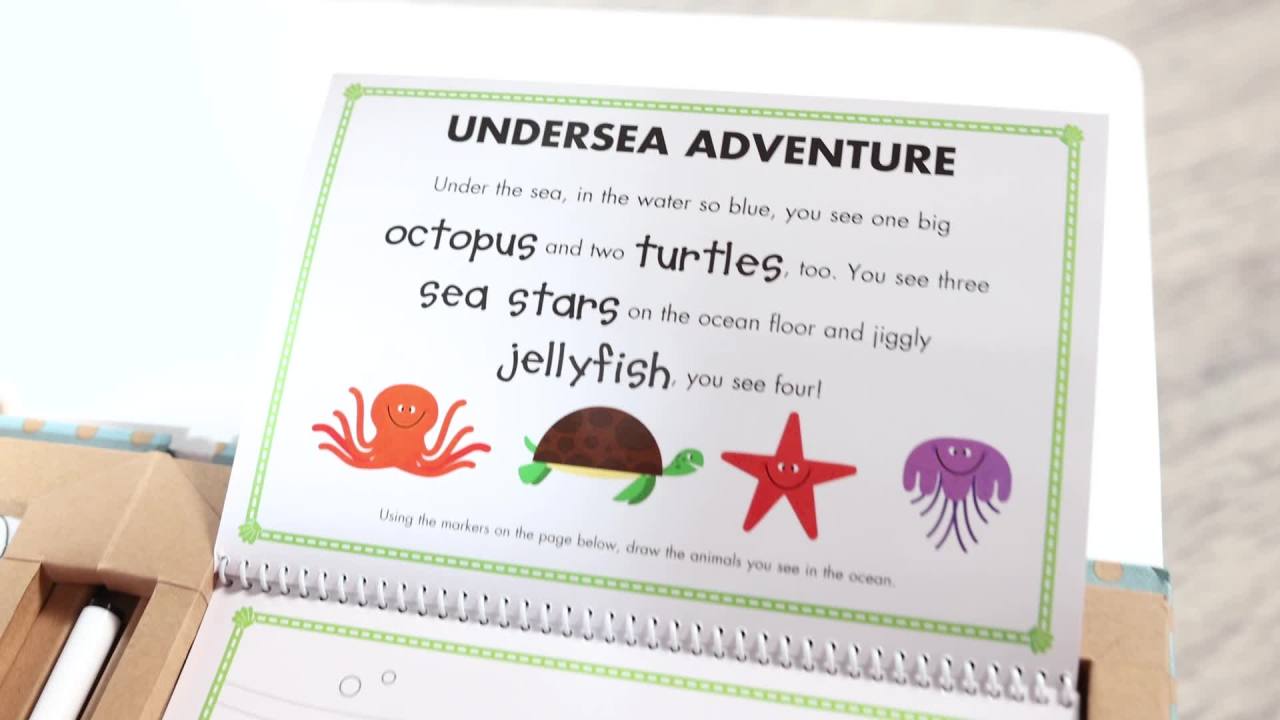 thumbnail video image 2 of Melissa & Doug Natural Play: Play, Draw, Create Reusable Drawing & Magnet Kit – Ocean (42 Magnets, 5 Dry-Erase Markers) - FSC Certified, 2 of 10