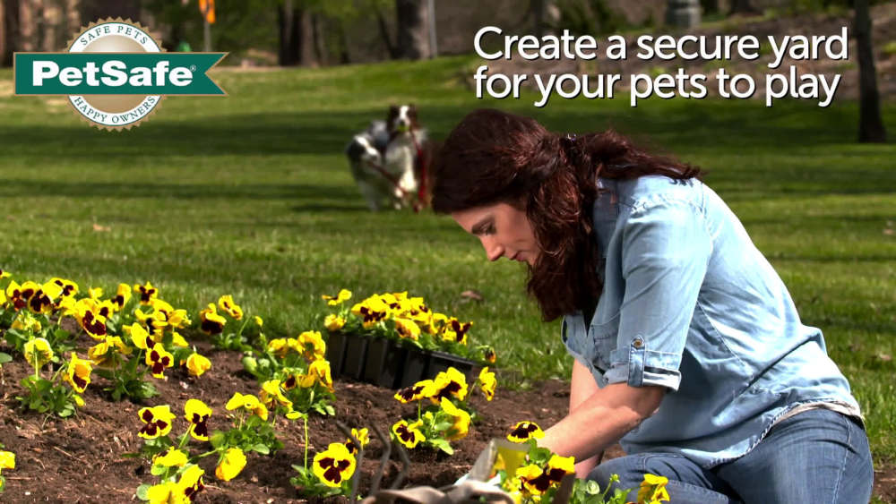 PetSafe Basic InGround Fence, Includes 1/3Acre Yard Wire, Expand up