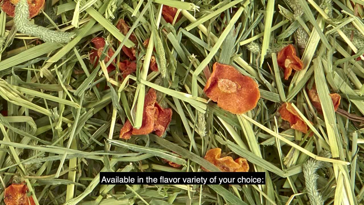 thumbnail video image 2 of Kaytee Timothy Hay Plus Rose & Thyme 24 oz, 2 of 14
