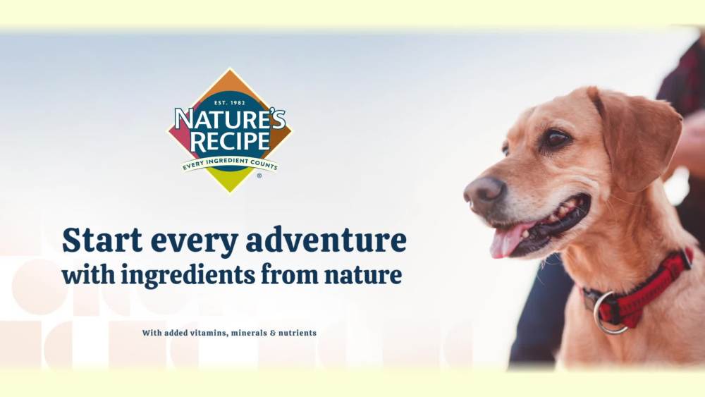 Nature's Recipe Grain Free Chicken Variety Pack Wet Dog Food, 2.75