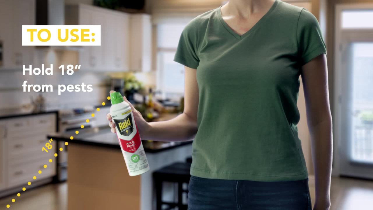thumbnail video image 2 of Raid Essentials Indoor Ant and Roach Killer Aerosol, 10 oz, 2 of 20