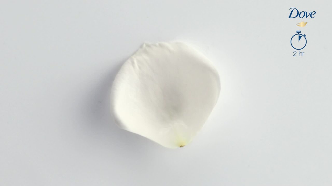 thumbnail video image 2 of Dove Nourishing Hand Sanitizer Lavender and Chamomile Antibacterial Gel with 61% Alcohol and Lasting Moisturization For Up to 8 Hours 99.99% Effective Against Many Germs 8 oz, 2 of 17