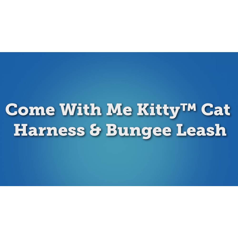 PetSafe Come With Me Kitty Harness and Leash for Cats, Adjustable