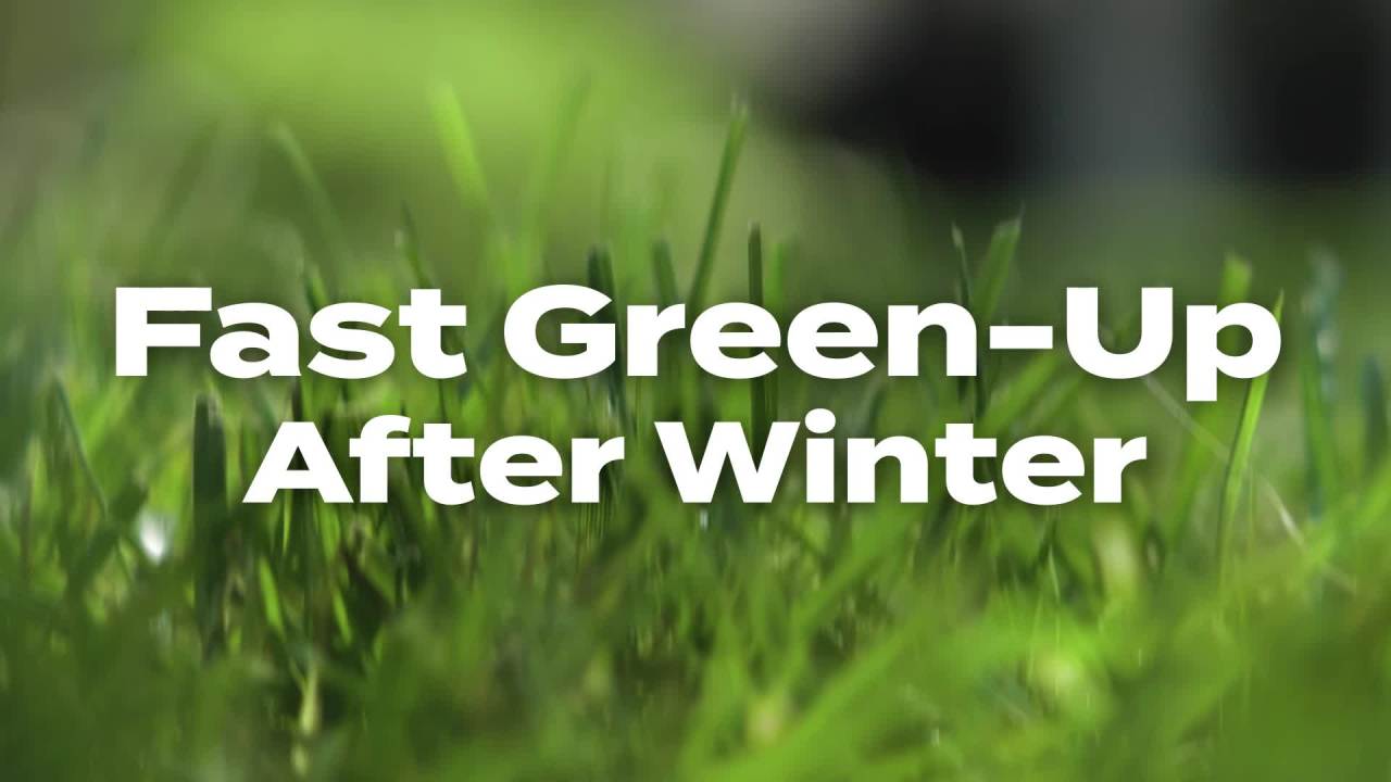 thumbnail video image 2 of Scotts Turf Builder, Halts Crabgrass Preventer with Lawn Food, 5,000 sq. ft., 2 of 12