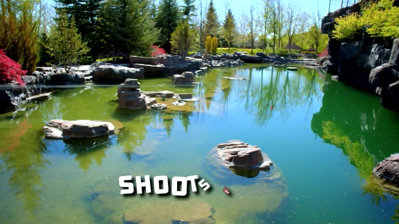 thumbnail video image 2 of Goliath Rocket Fishing Rod - Ready to Fish Kids Graphite Fishing Pole - No Casting Needed, 2 of 5