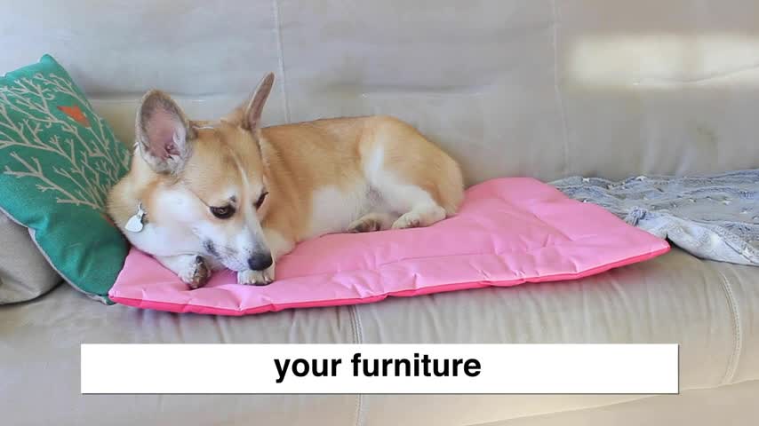 thumbnail video image 2 of Downtown Pet Supply Dog Crate Mat, Waterproof Pet Bed, Dark/Light Blue, M, 2 of 7